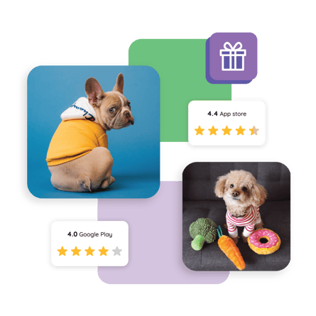 CT_SmartSites_PetSupplies_2